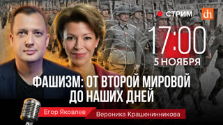 Фашизм: от Второй мировой до наших дней/Вероника Крашенинникова и Егор Яковлев