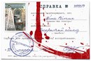 Міша Вітик фотография #23 (источник - https://vk.com/id151053840)