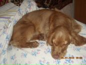 Игорь Горох фотография #10 (источник - https://vk.com/id6322143)