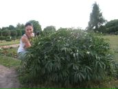 Фотография Диановой Зульфии