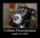 Фотография Николаевой Яны