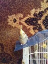 Діма Бабій фотография #27 (источник - https://vk.com/id73148826)