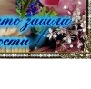 Діанка :-* фотография #46 (источник - https://vk.com/id118806718)