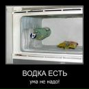 Богдан Посікіра фотография #46 (источник - https://vk.com/id58787466)