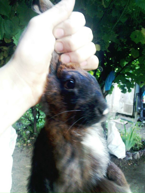 Евгений Бобылев фотография #48