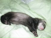 Фотография Окулова Сергея