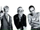 Фотография Шавыкина Виктория