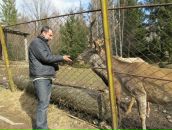 Іван Харчук фотография #34 (источник - https://vk.com/id81214004)