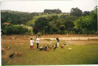 Rodrigo Digo фотография #36 (источник - https://vk.com/id143346118)