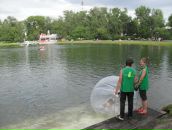 Александр Помешкин фотография #7 (источник - https://vk.com/id36335513)