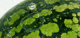 Виталий ________ фотография #2 (источник - https://vk.com/id23656925)