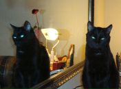 Фотография Амелиной Марии