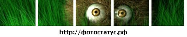 Baby Love фотография #38 (источник - https://vk.com/id4592574)