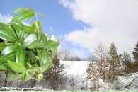 Андрій Сухецький фотография #43 (источник - https://vk.com/id80203150)