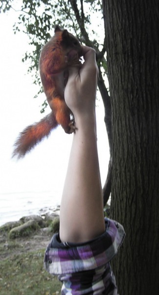 Митрий Ломасов фото №6