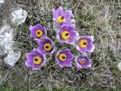 Фотография Чубакова Артема