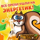 Фотография Анастасия Пинигина