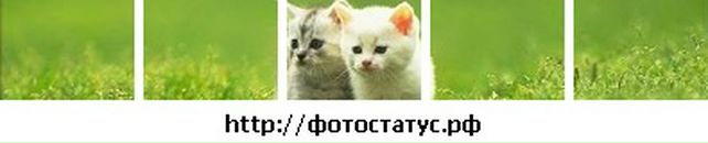 Марічка Вівчар фотография #37 (источник - https://vk.com/id81009222)