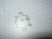 Фотография Клейн Елизаветы