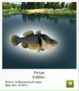 Сашко Дмитріев фотография #7 (источник - https://vk.com/id113286753)
