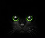 Фотография Умушкиной Юлии