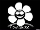 Фотография Ромашова Дмитрия