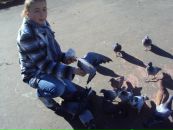 Вікусічка Січкоріз фотография #28 (источник - https://vk.com/id82463977)