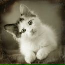 Фотография Минeнка Алексея