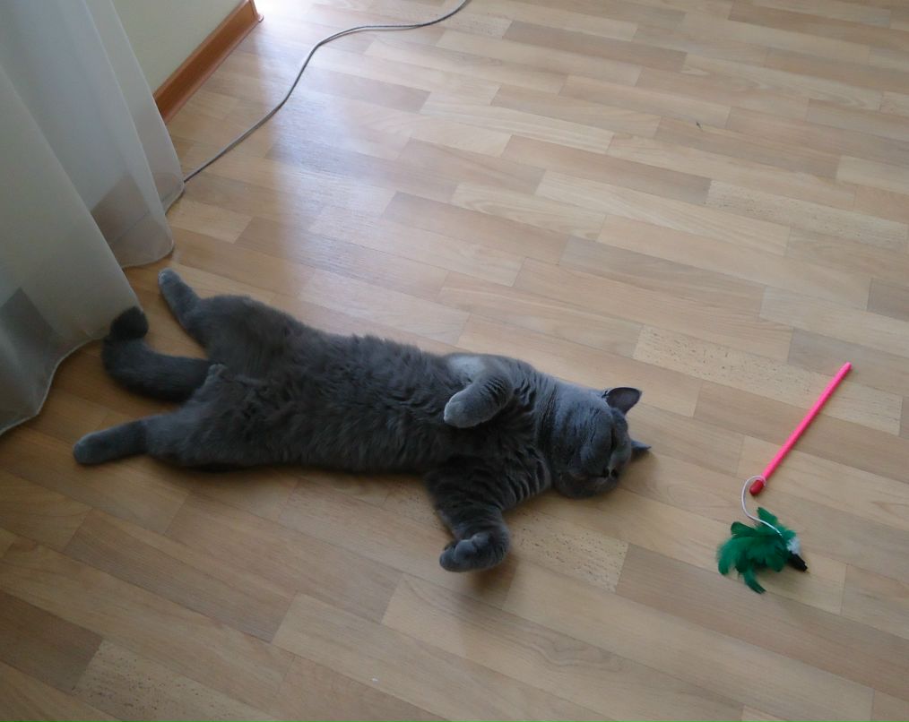 Марина Цепелёва фотография #7