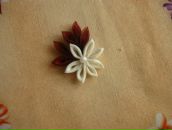 Таїсія Петрина фотография #16 (источник - https://vk.com/id28549960)