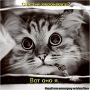 Фотография Лисенок Натальи