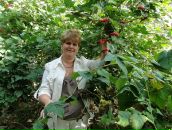 Наталія Янчук фотография #29 (источник - https://vk.com/id63971981)