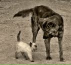 Фотография Балашова Олега