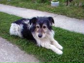 Світлана Герук фотография #3 (источник - https://vk.com/id41571488)