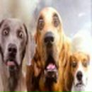 Julia Brick фотография #38 (источник - https://vk.com/id879304)