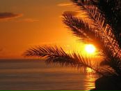 Фотография Dmitrievich Maxim