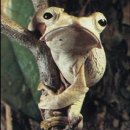 Vvv Vvv фотография #9 (источник - https://vk.com/id847547)