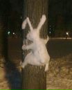 Юлія Полєжаєва фотография #18 (источник - https://vk.com/id140780499)