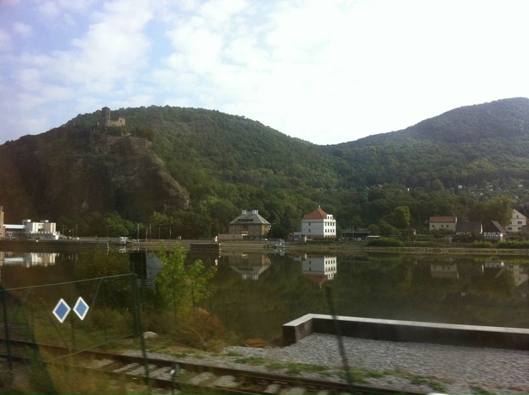 Дмитрий Алексеев фотография #3