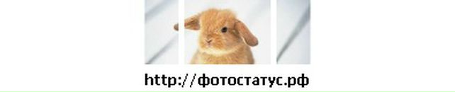 Іра Данильчук фотография #4 (источник - https://vk.com/id135059633)