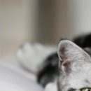 Наталія Олійник фотография #37 (источник - https://vk.com/id85387598)