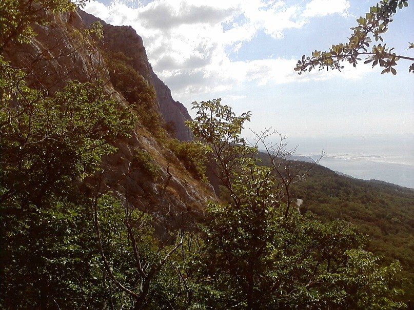 Дмитрий Эрго фотография #50