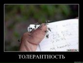 Фотография Дудко Александра