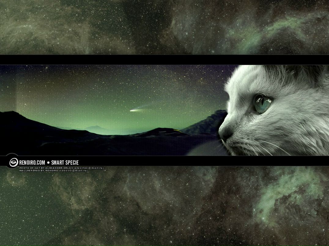 Денис Градовый фотография #15