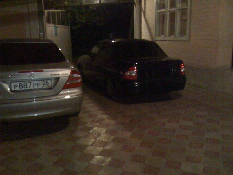 Maestro Don фото №17