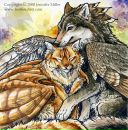 Фотография Дорды Владимира