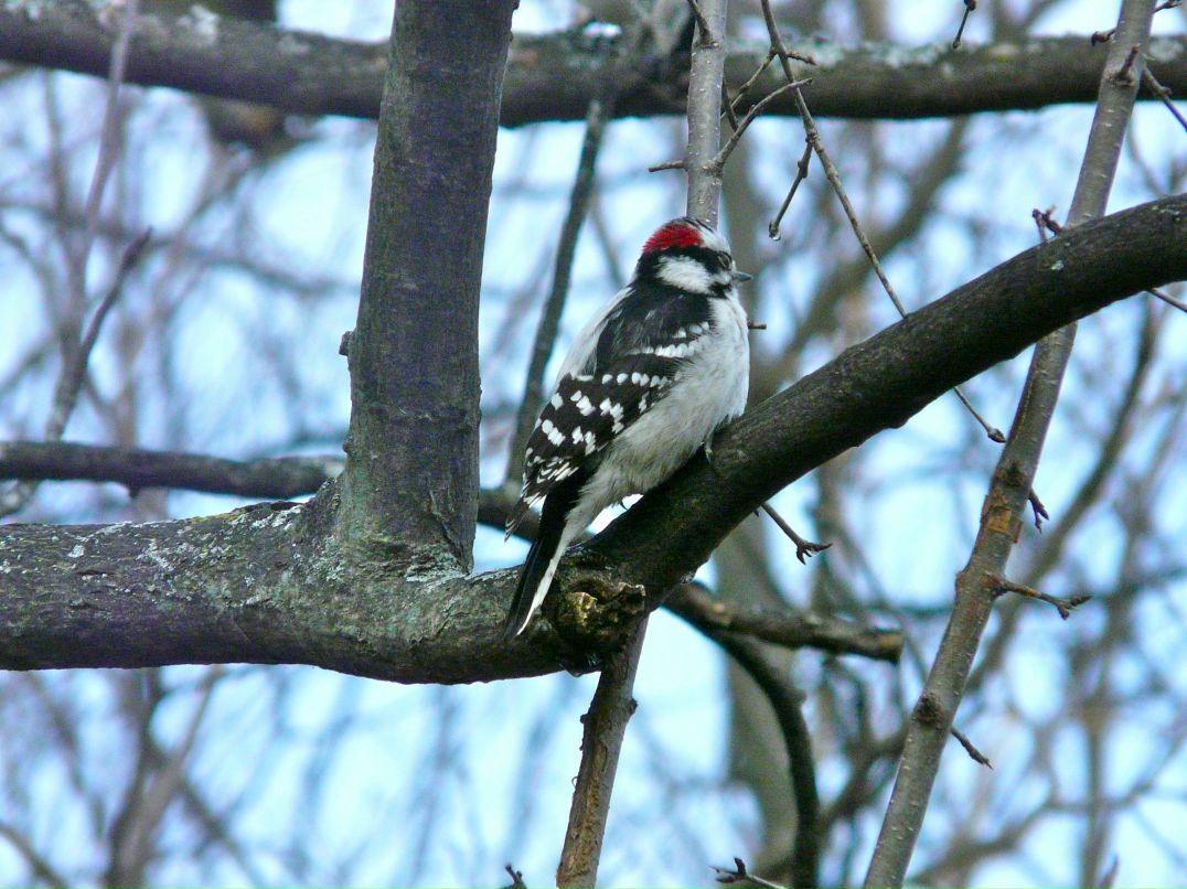 Валерия Ли фотография #33