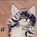 Інна Тодорчук фотография #36 (источник - https://vk.com/id155408833)