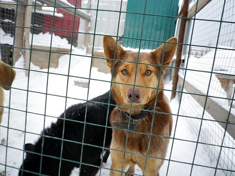 Софья Урманчеева фотография #47