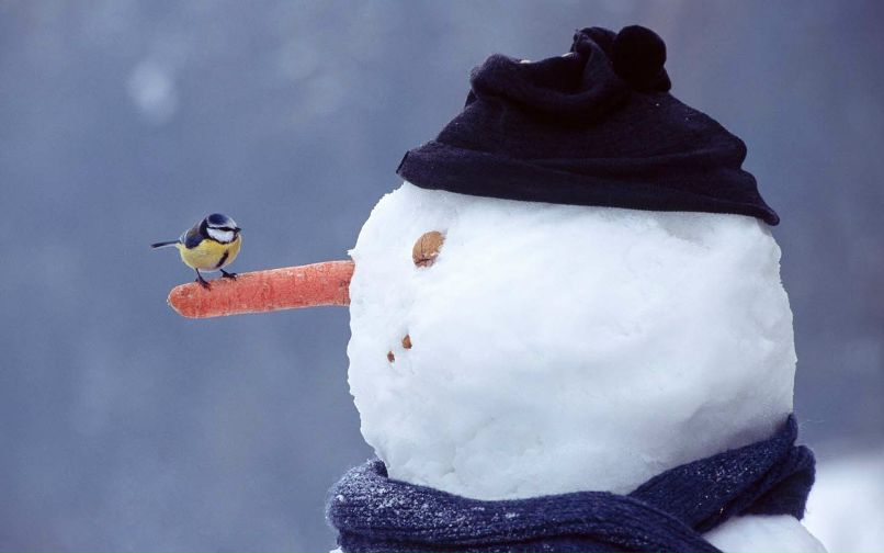 Ден Иванов фотография #3